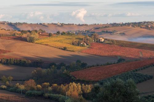 La Vita Nuova Morro dʼAlba Dış mekan fotoğraf